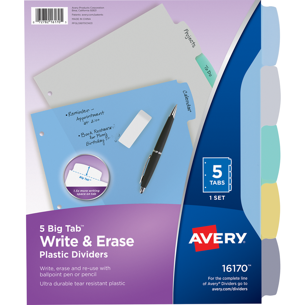Write and Erase Plastic Divider