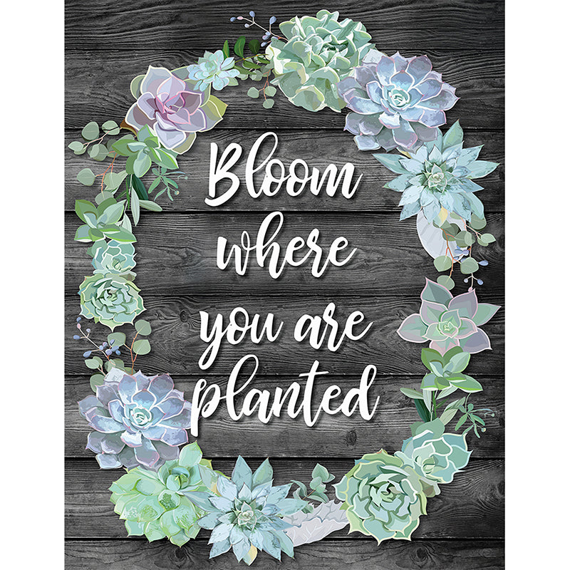BLOOM WHERE YOU ARE PLANTED CHART