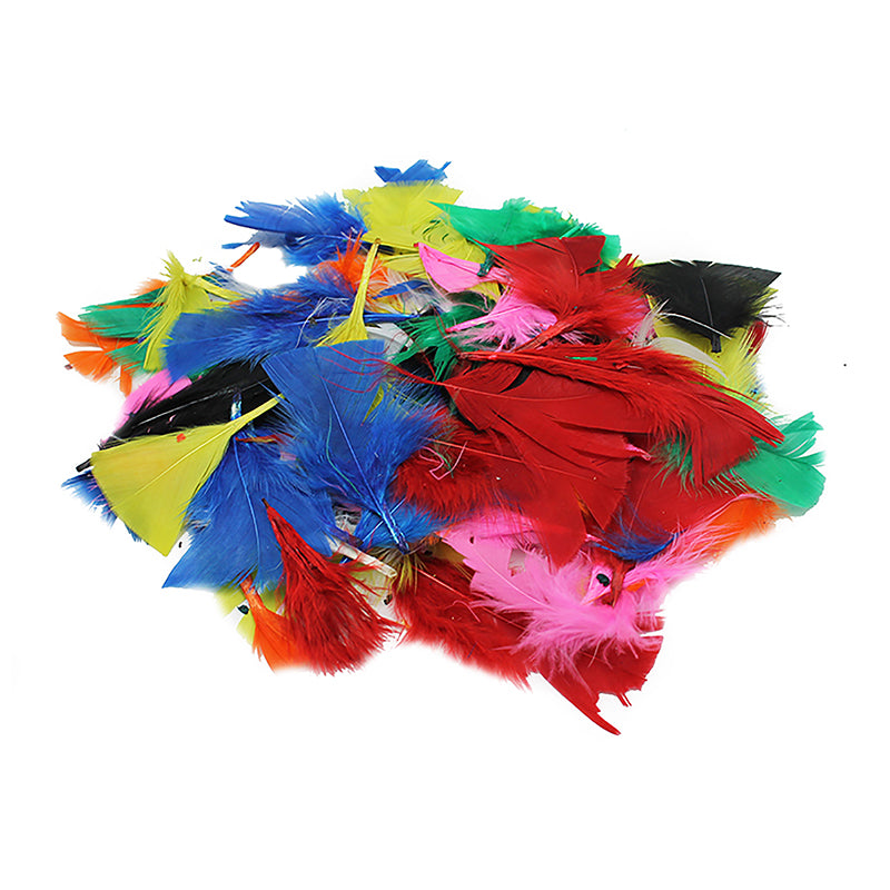 TURKEY FEATHERS BRIGHT COLORS 14G