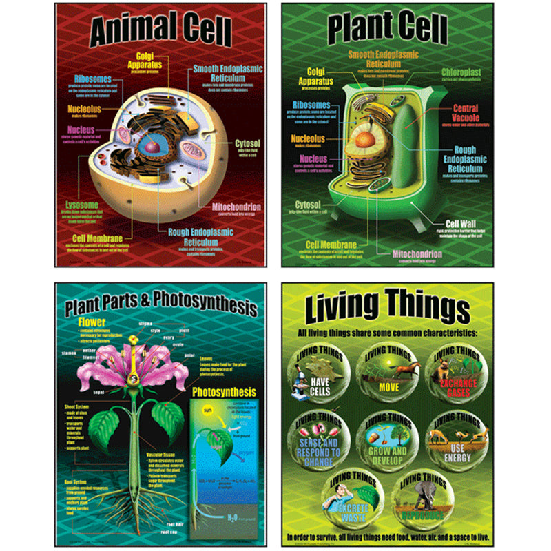 LIFE SCIENCE TEACHING POSTER SET
