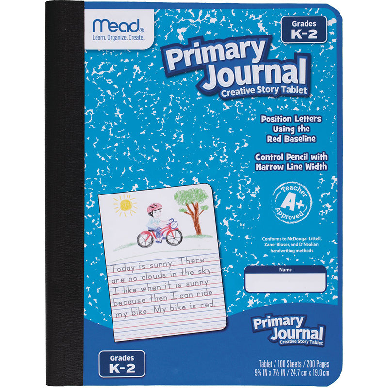 PAPER PRIMARY JOURNAL EARLY 100 CT