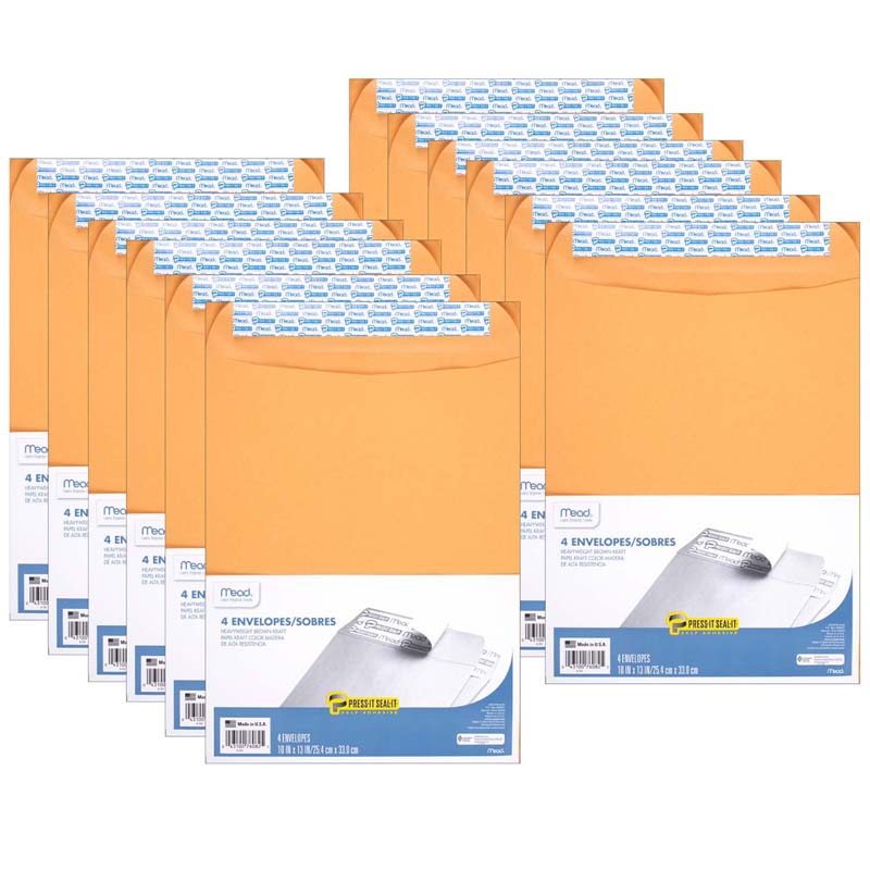 (12 PK) MEAD PRESS IT SEAL IT 10X13