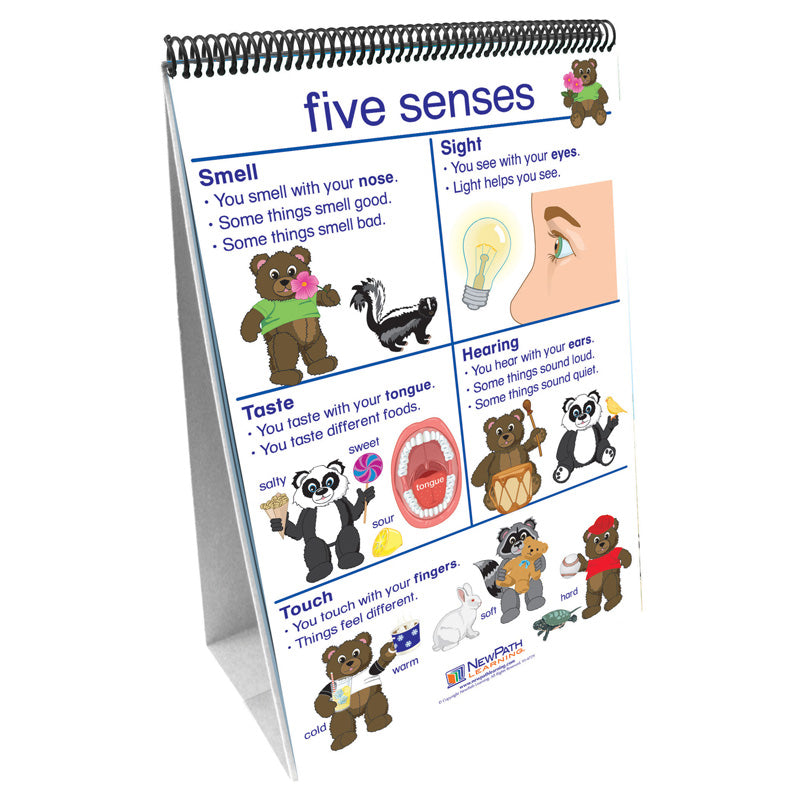 FLIP CHARTS ALL ABOUT ME EARLY