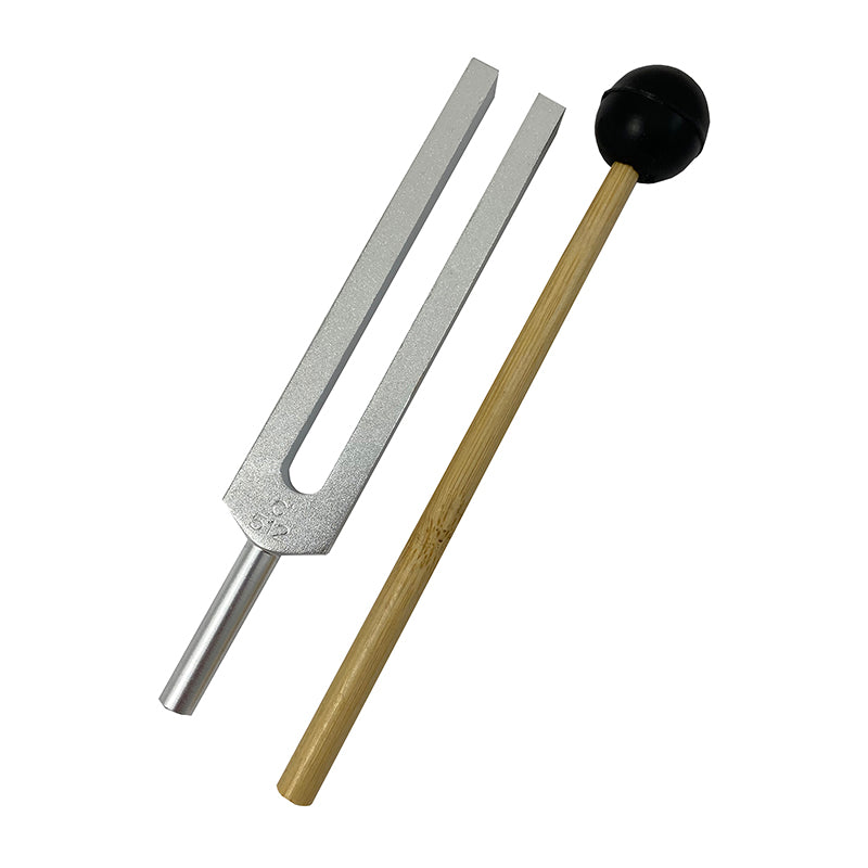 TUNING FORK AND STRIKER SET
