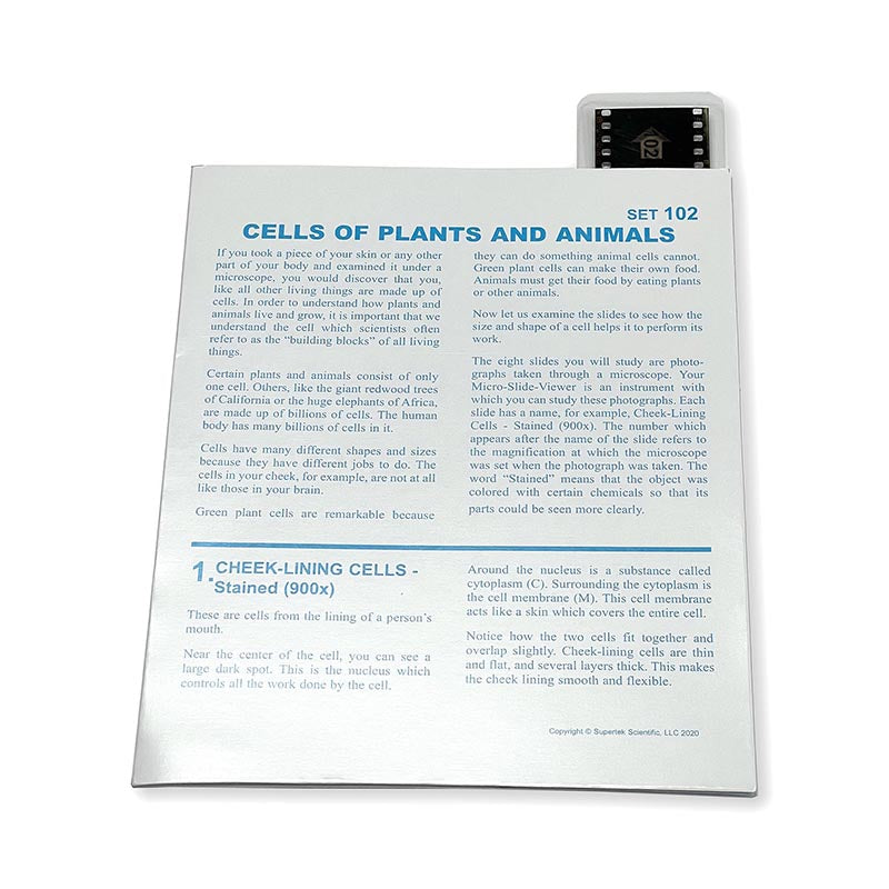 MICROSLIDE-CELLS OF PLNT/ANIMALS