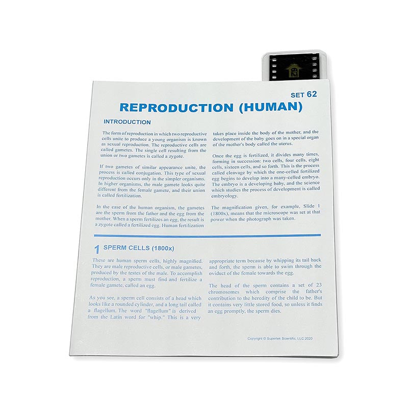 MICROSLIDE REPRODUCTION