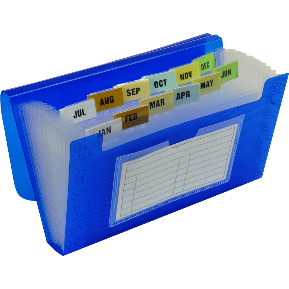 Expanding File 13-Pocket