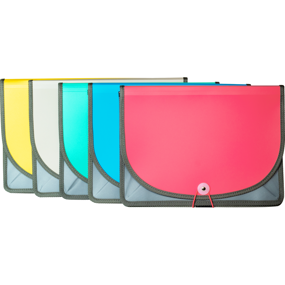 Extra Large Poly Document Case