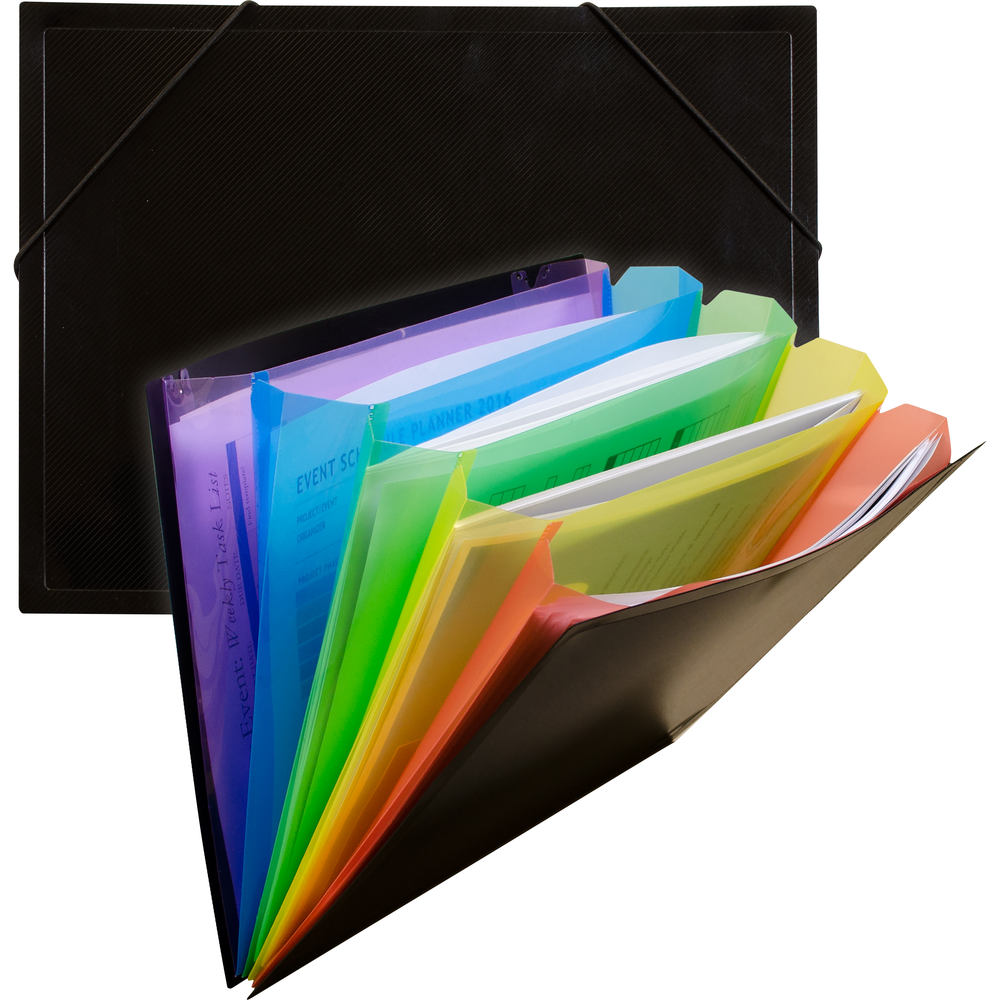 Poly Expanding File Document Case