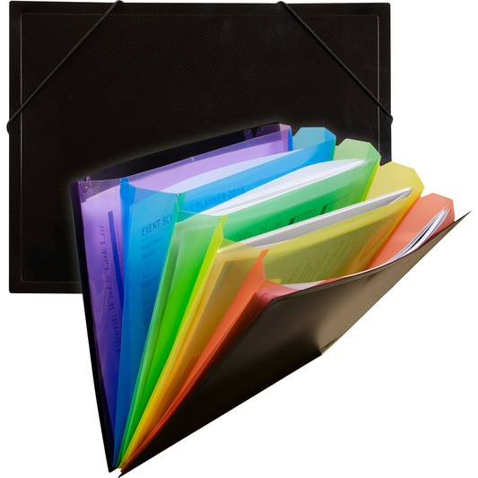 Poly Expanding File Document Case