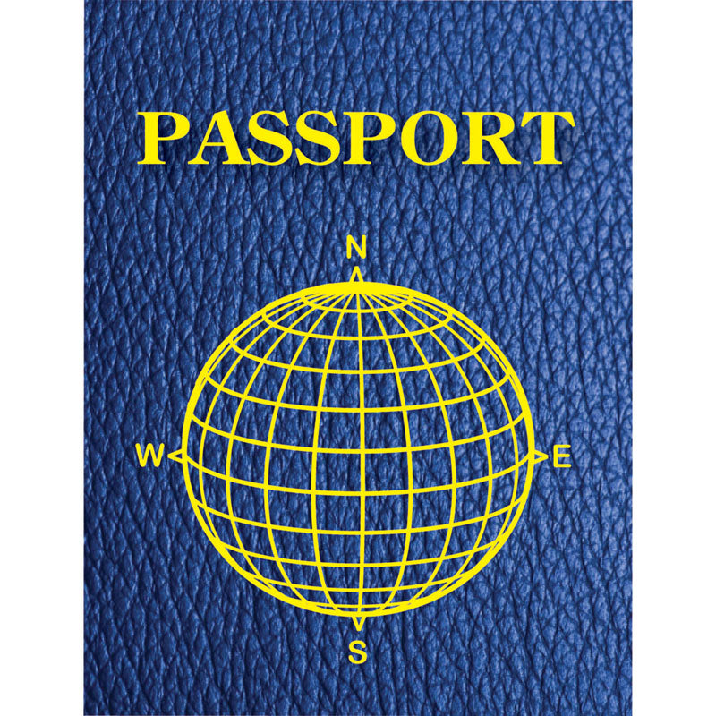 BLANK PASSPORTS PACK OF 12