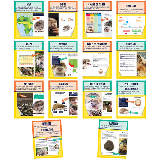 MINI POSTERS NONFICTION TEXT