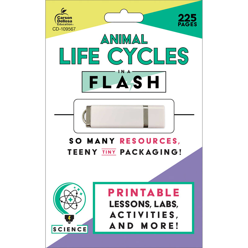 IN A FLASH ANIMAL LIFE CYCLES