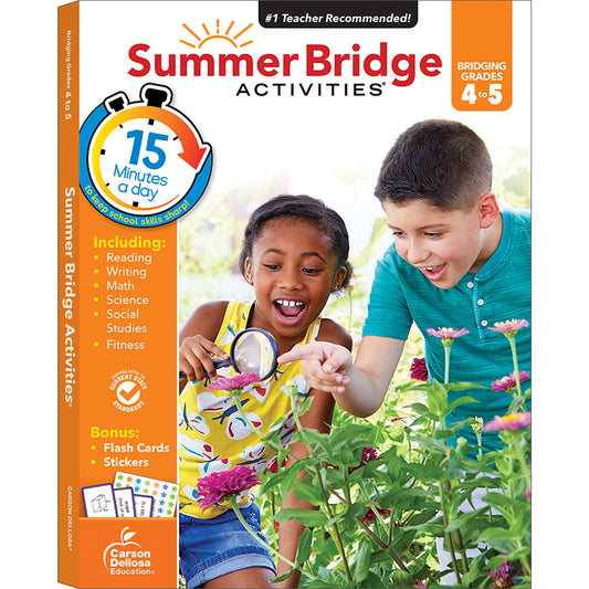 SUMMER BRIDGE ACTIVITIES GR 4-5