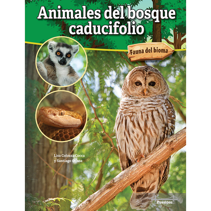 ANIMALES DEL BOSQUE CADUCIFOLIO HC