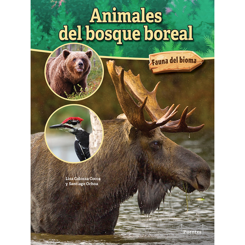 ANIMALES DEL BOSQUE BOREAL PAPRBACK