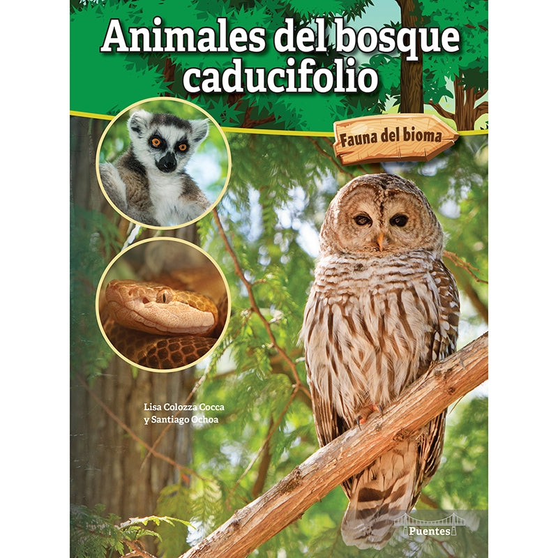 PAPERBACK ANIMALES DEL BOSQUE