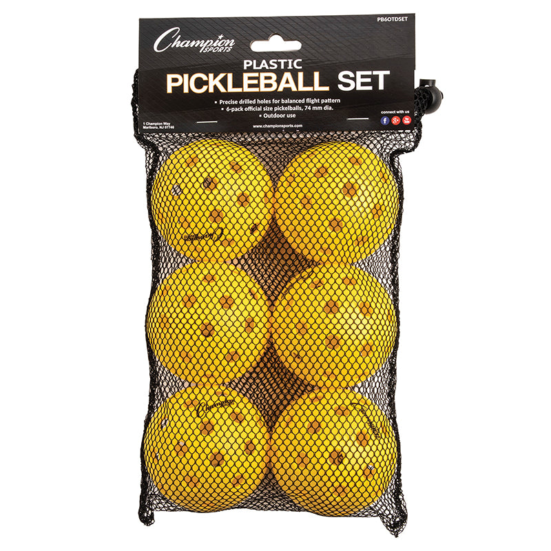 RECREATIONAL OUTDOOR PICKLEBALL SET