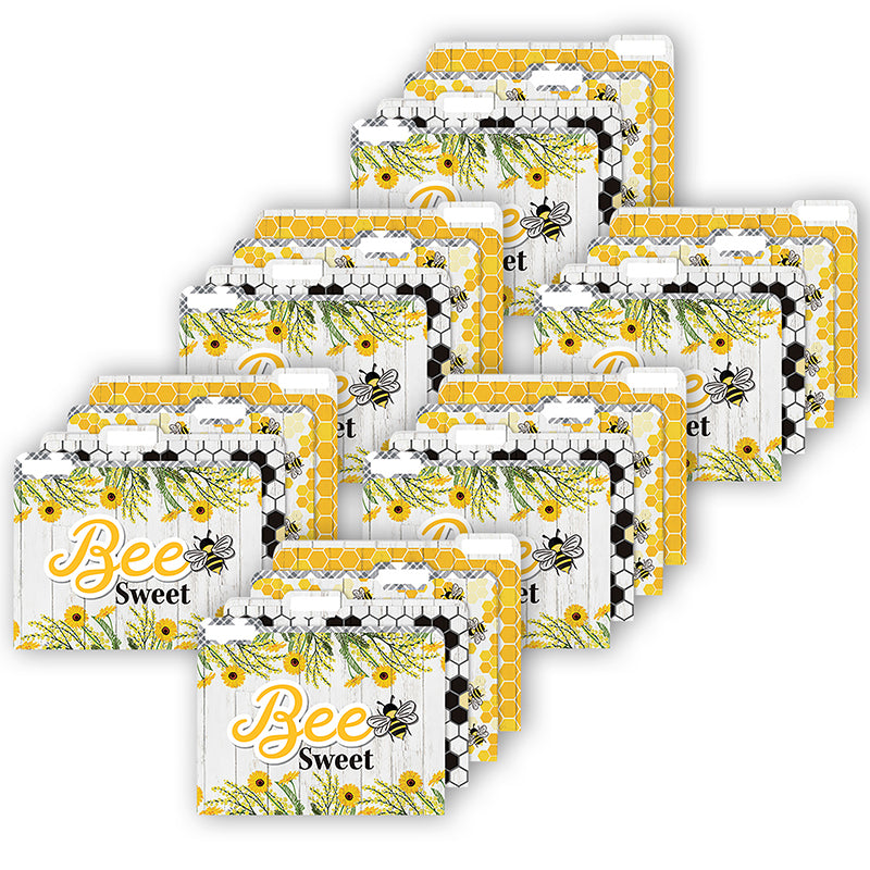 (6 PK) THE HIVE FILE FOLDERS
