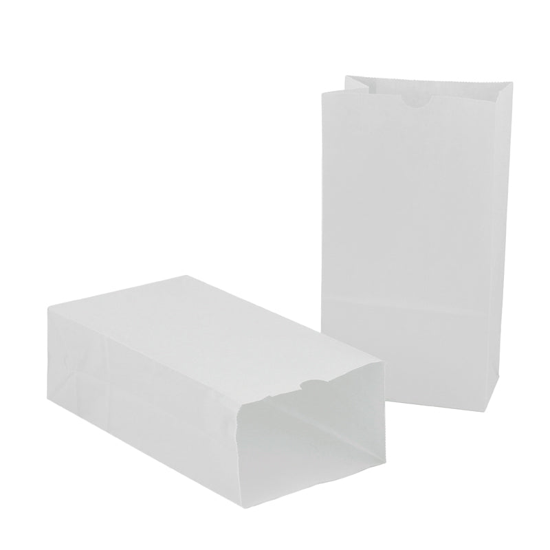 WHITE PAPER BAGS SIZE 6 100PK