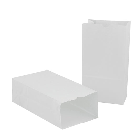 WHITE PAPER BAGS SIZE 6 100PK