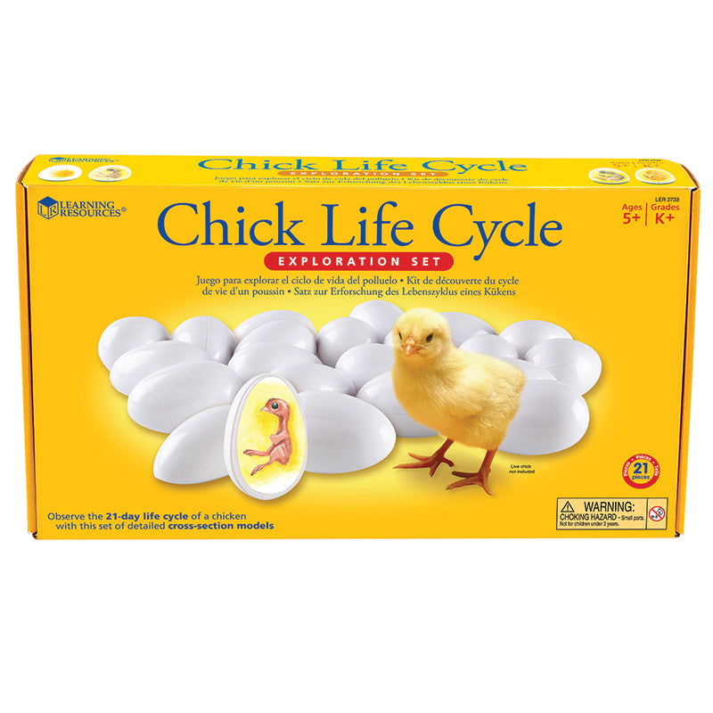 CHICK LIFE CYCLE EXPLORATION SET