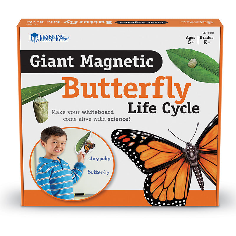 GIANT MAGNETIC BUTTERFLY LIFE CYCLE
