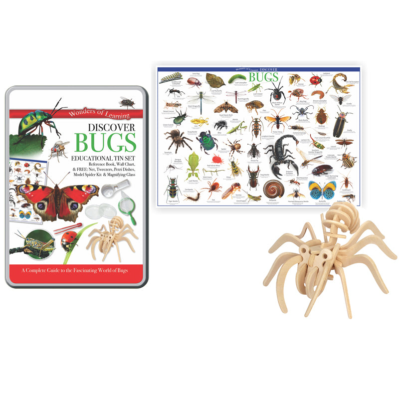 TIN SET DISCOVER BUGS