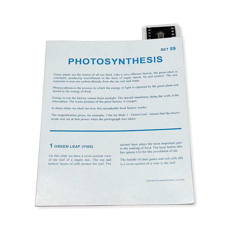 MICROSLIDE PHOTOSYNTHESIS
