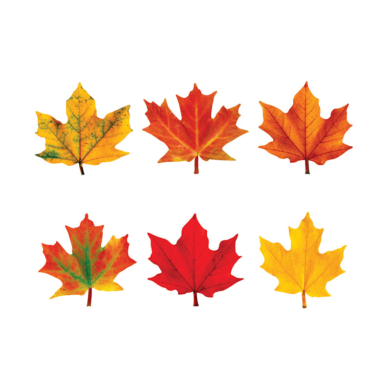 CLASSIC ACCENTS MAPLE LEAVES MINI