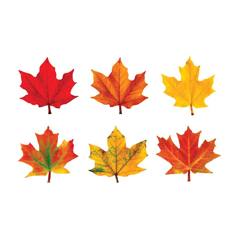 CLASSIC ACCENTS MAPLE LEAVES