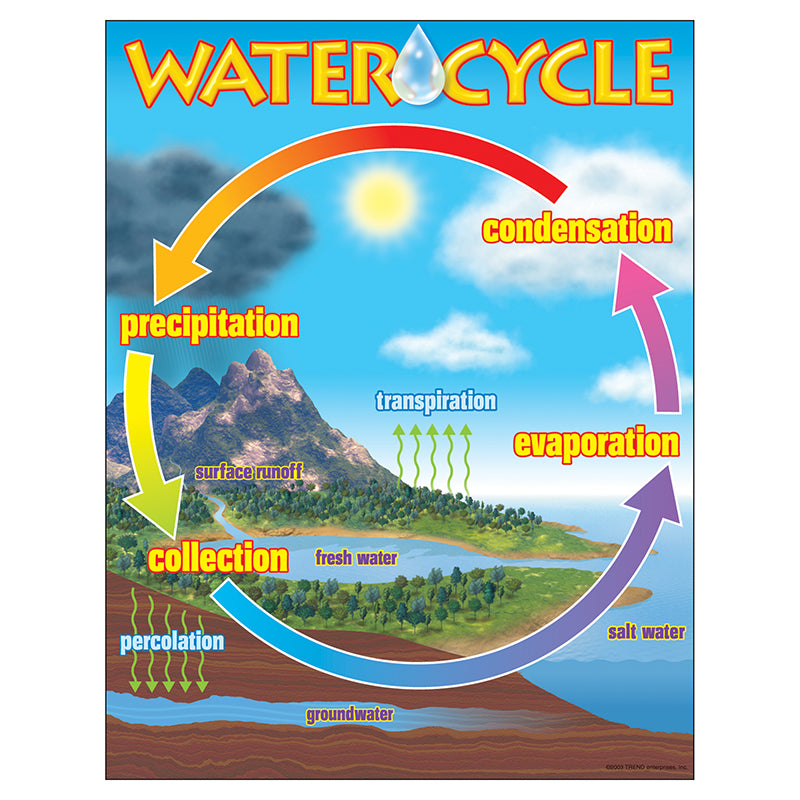 CHART THE WATER CYCLE