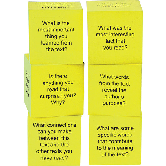 FOAM NONFICTION COMPREHENSION CUBES
