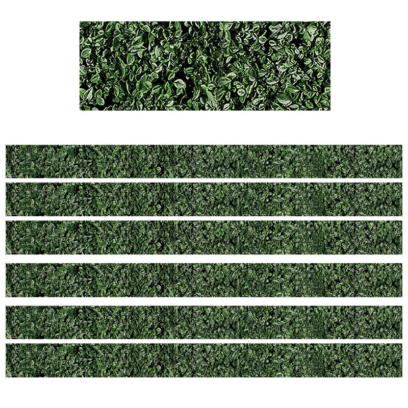 (6 PK) BOXWOOD STRAIGHT BORDER