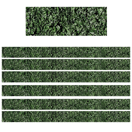 (6 PK) BOXWOOD STRAIGHT BORDER