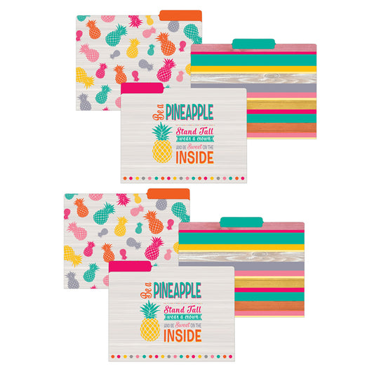 (2 PK) TROPICAL PUNCH FILE FOLDERS