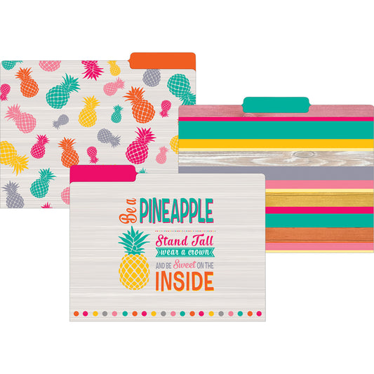 TROPICAL PUNCH FILE FOLDERS