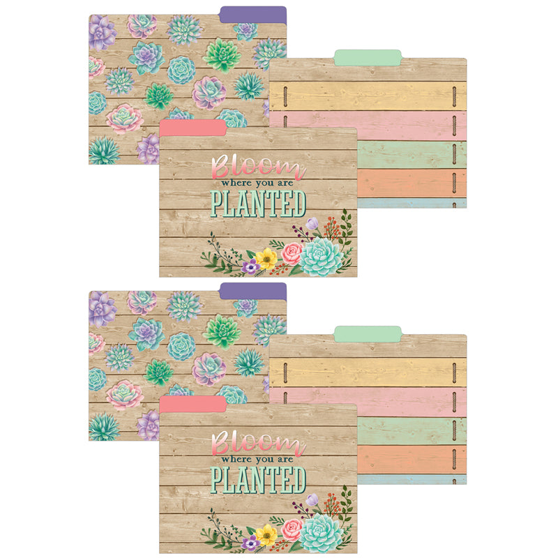 (2 PK) RUSTIC BLOOM FILE FOLDERS