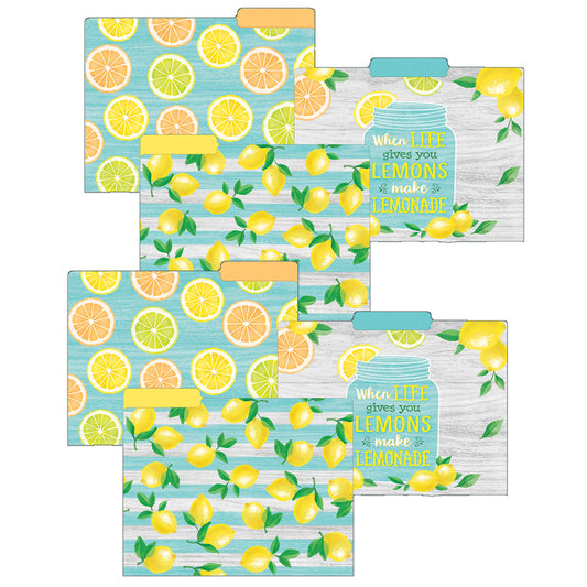 (2 PK) LEMON ZEST FILE FOLDERS