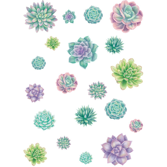 RUSTIC BLOOM SUCCULENTS ACCNTS ASST