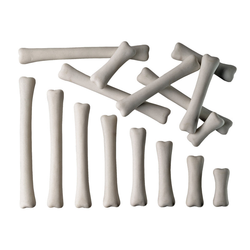 DINOSAUR BONES MATCH & MEASURE SET